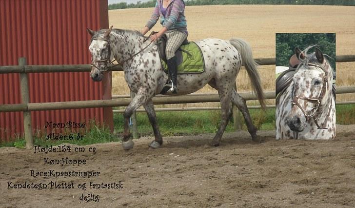 Billeder jeg har lavet  - TIl SAbine 
Det er kun hende der mp tage billedet billede 19