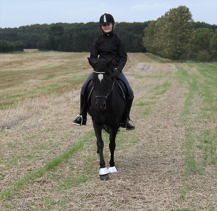 Mark dressur d; + EDDERKOP OG MENNESKEHOVEDER! billede 12