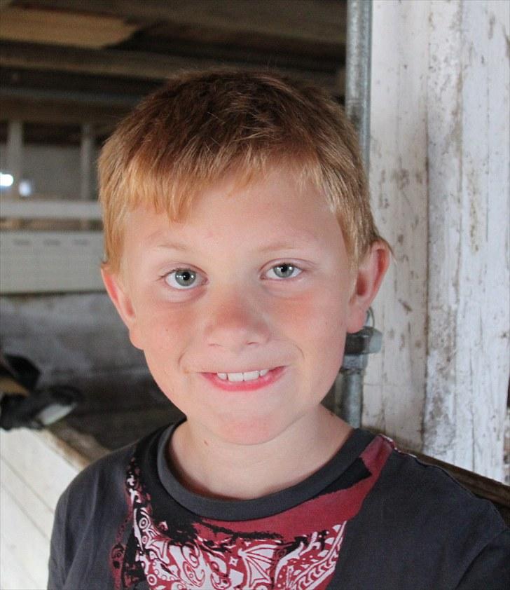 Mark dressur d; + EDDERKOP OG MENNESKEHOVEDER! billede 18