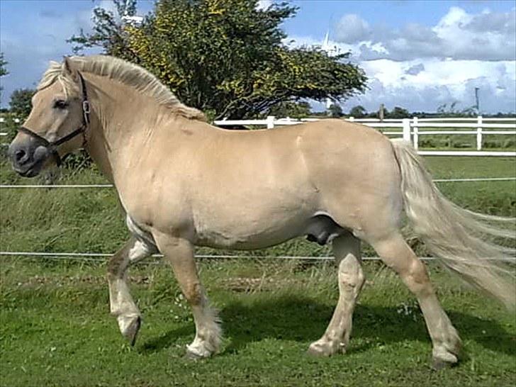 Minder fra fortiden - Max når han var pænest. billede 1