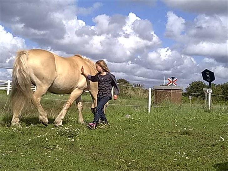 Minder fra fortiden - Trine på folden hos max. billede 4