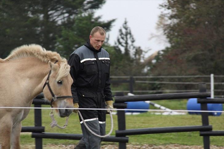Minder fra fortiden - Lars med fjordhesten Max, som muligvis er lidt haflinger. billede 5
