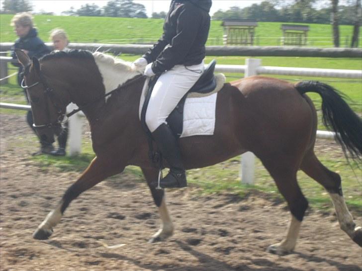 Cecilie Nicolajsen og Dopendi Vesterlund - Stævne i PIH :D billede 1