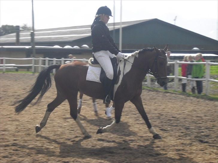 Cecilie Nicolajsen og Dopendi Vesterlund - Stævne i PIH :D billede 3
