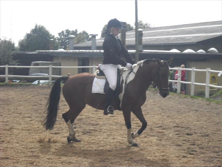 Cecilie Nicolajsen og Dopendi Vesterlund - Stævne i PIH :D billede 4