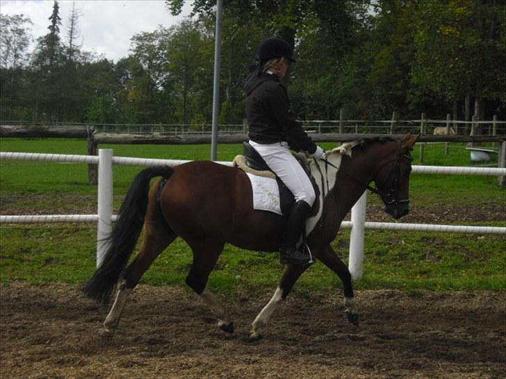 Cecilie Nicolajsen og Dopendi Vesterlund - Stævne i PIH :D billede 5