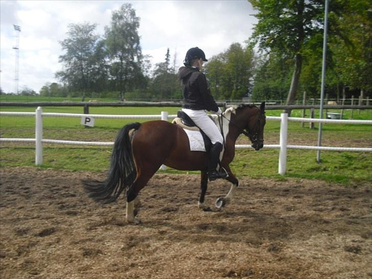 Cecilie Nicolajsen og Dopendi Vesterlund - Stævne i PIH :D billede 6