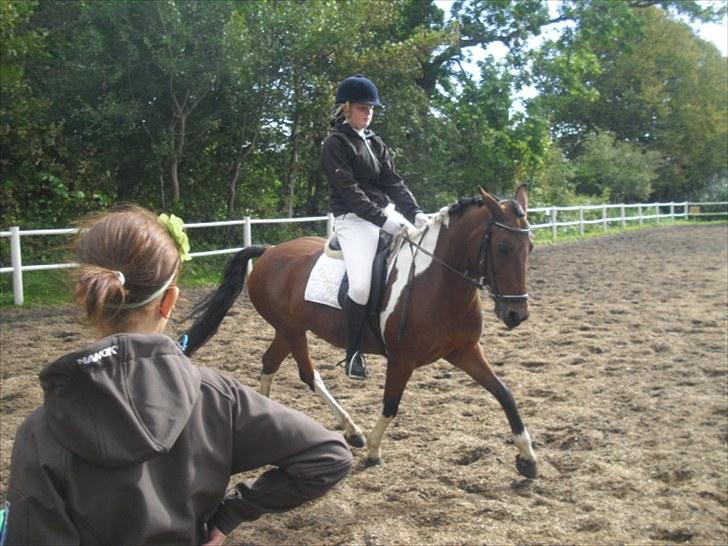 Cecilie Nicolajsen og Dopendi Vesterlund - Stævne i PIH :D billede 7