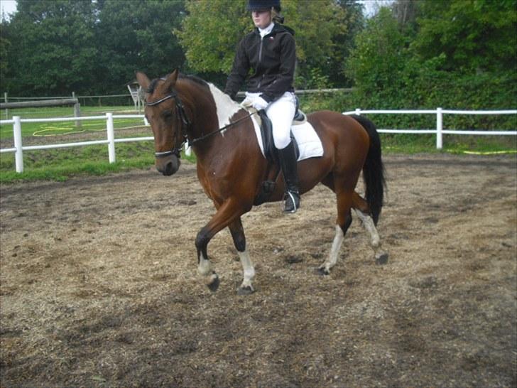 Cecilie Nicolajsen og Dopendi Vesterlund - Stævne i PIH :D billede 8