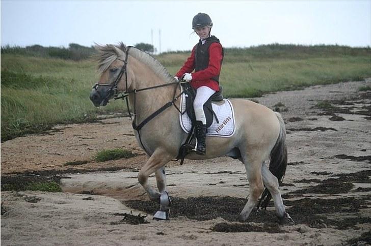 Jagt på Espe gods - Vi havde lige været en tur i det dejlige vand.. :D han elsker at være i vandet!:D billede 17