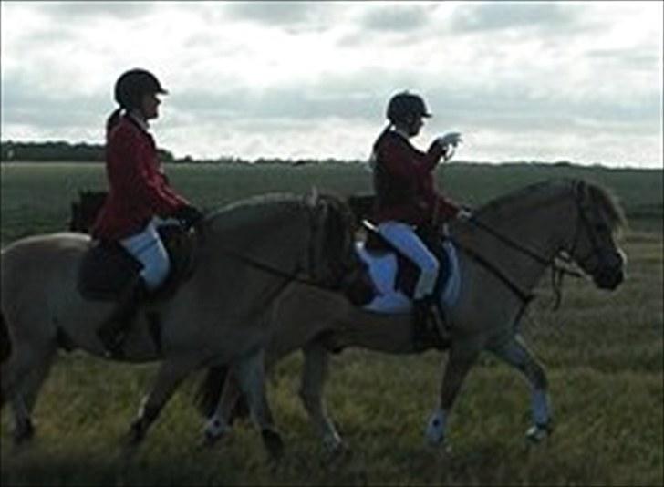 Jagt på Espe gods - Skridter varm til jagten billede 18