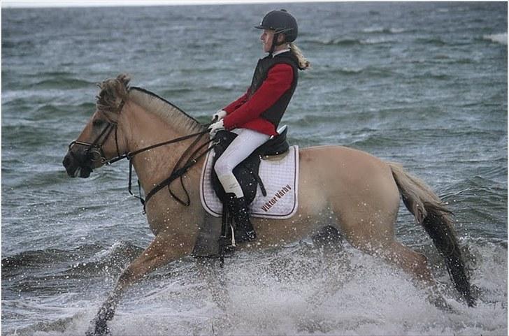 Jagt på Espe gods - Uhh ha hvor var det altså bare skønt!:) billede 19