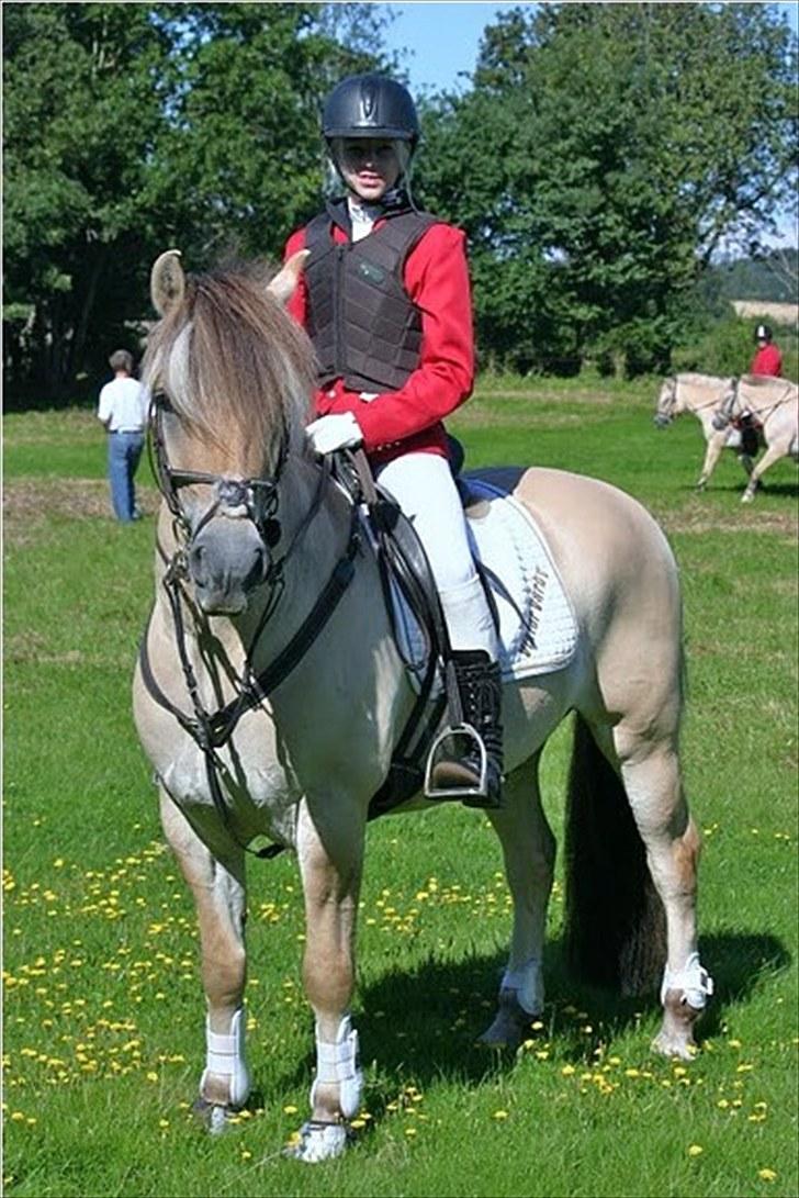 Jagt på Espe gods - Hvor er duuh smuk min ejen viktor mand<3 billede 20