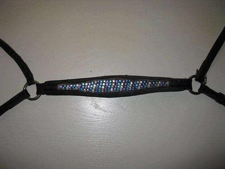 Pandebånd med sten billede 25