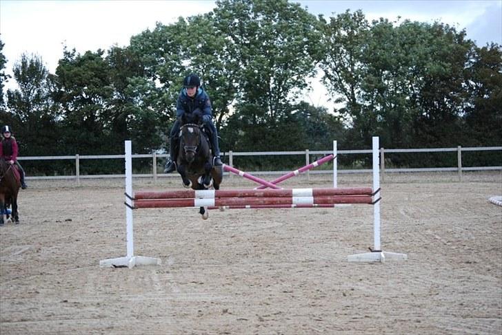 Silvano kursus ved Hans H. Kristiansen - Lodret.. billede 2