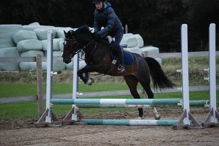 Silvano kursus ved Hans H. Kristiansen - Opvarmnings okse billede 4