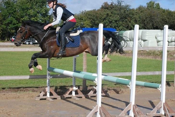 Silvano kursus ved Hans H. Kristiansen - Lidt stort af.. men gode bagben. billede 5