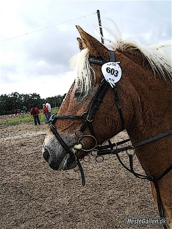 Tegnefilms figur til andre - Jackie billede 79