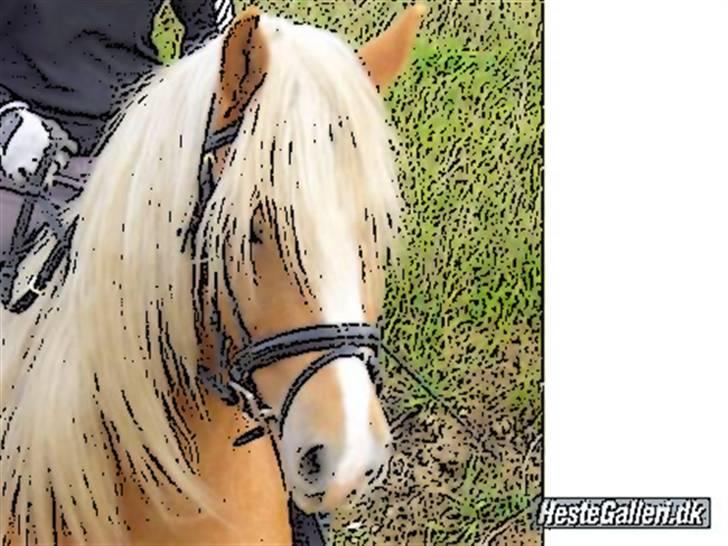 Tegnefilms figur til andre - Winner billede 81