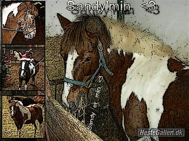 Tegnefilms figur til andre - Sandy billede 82