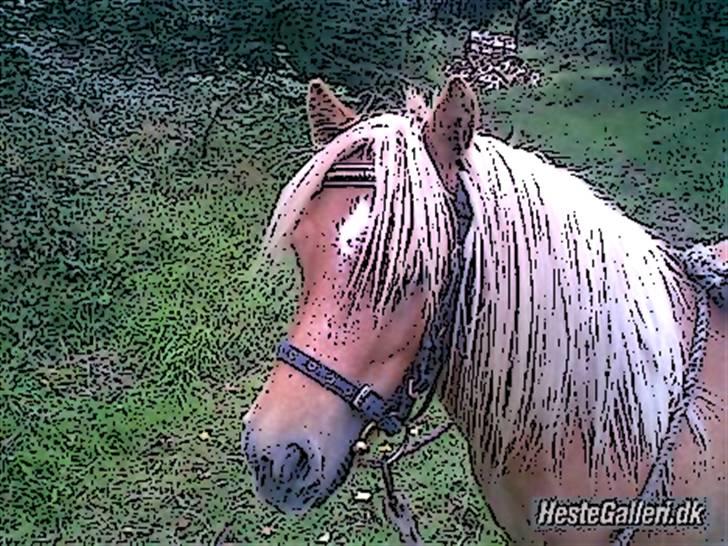 Tegnefilms figur til andre - Viola billede 83