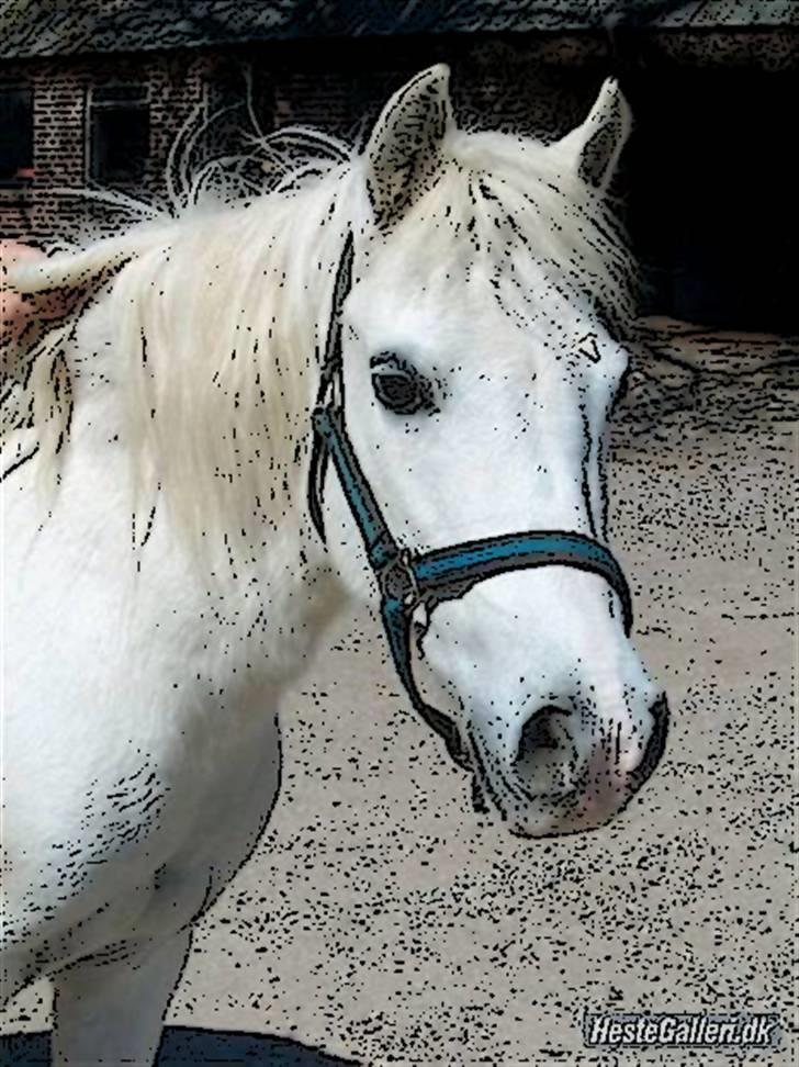 Tegnefilms figur til andre - Tessan billede 84