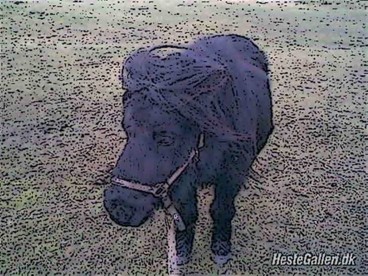 Tegnefilms figur til andre - Bob billede 85