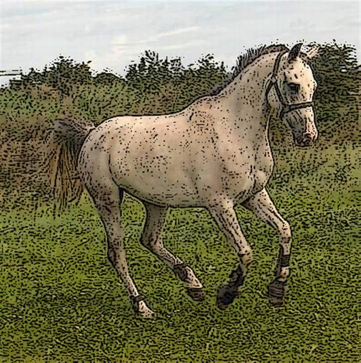 Tegnefilms figur til andre - Prins billede 88