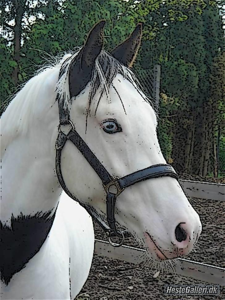 Tegnefilms figur til andre - Stormy ice cream billede 90