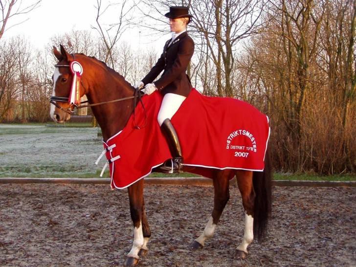 Heste  - Distriktsmester i dressur for juniorer 2007 :D
Dygtige lille hest :* billede 10