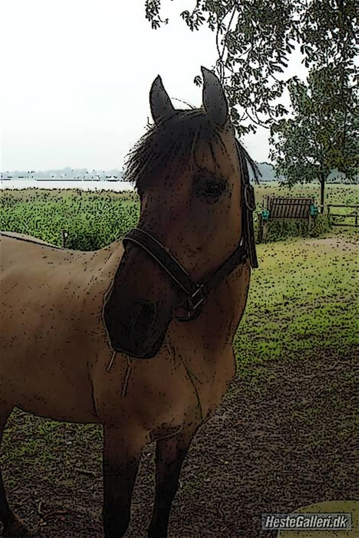 Tegnefilms figur til andre - Shanti billede 94