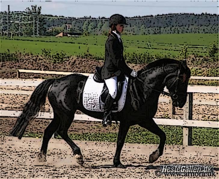 Tegnefilms figur til andre - Lady black billede 95