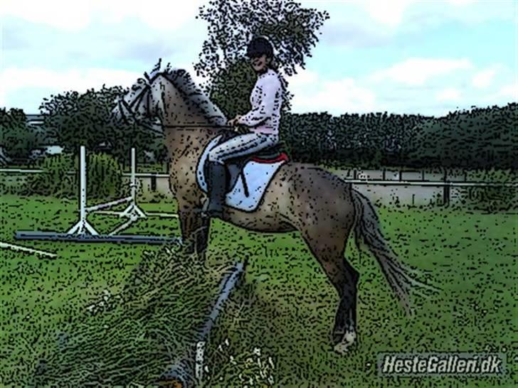 Tegnefilms figur til andre - Macy grey billede 97