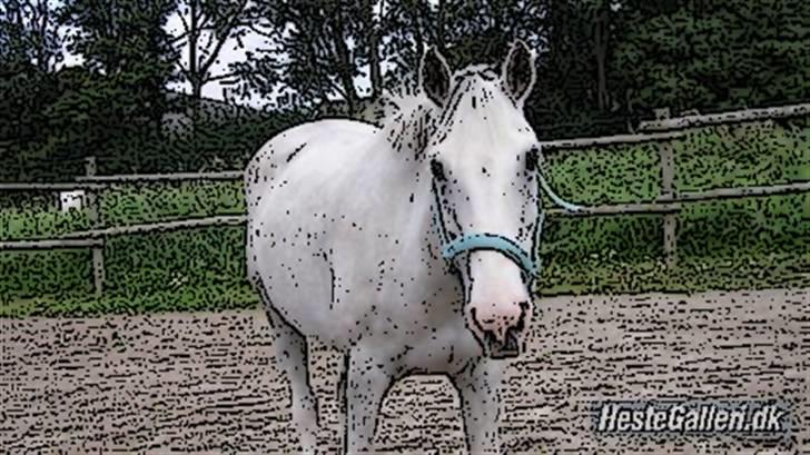 Tegnefilms figur til andre - Casino billede 101