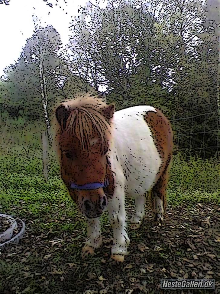 Tegnefilms figur til andre - Flicka billede 104