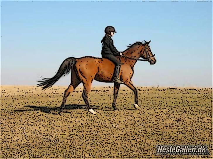 Tegnefilms figur til andre - Rocky mountain billede 107