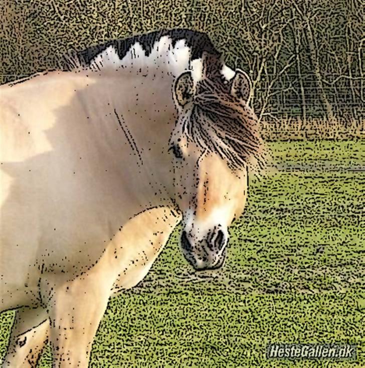 Tegnefilms figur til andre - Thilde billede 110
