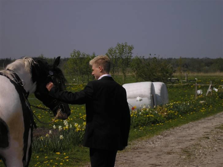 Min Familie og Vores Heste... - Min bror Lasse på den dejlig dag... hilser lige på Jaggi.... billede 1