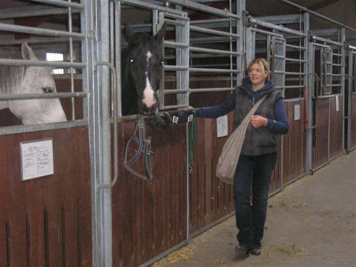 Min Familie og Vores Heste... - Mette og kasmir i kolding... vi var i skole i 3måneder... billede 7