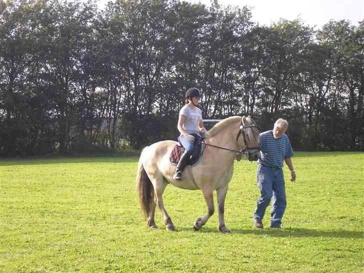 Min Familie og Vores Heste... - Min morfar avler Norbakker + fjorheste....
her er jeg ved at ride en af hans køre heste til...  jeg må bøje mig og sige en lækker hest.. billede 14