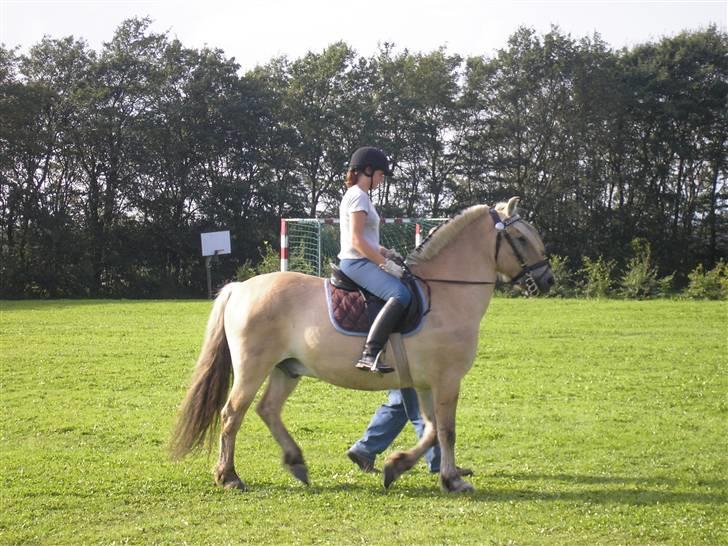 Min Familie og Vores Heste... billede 15