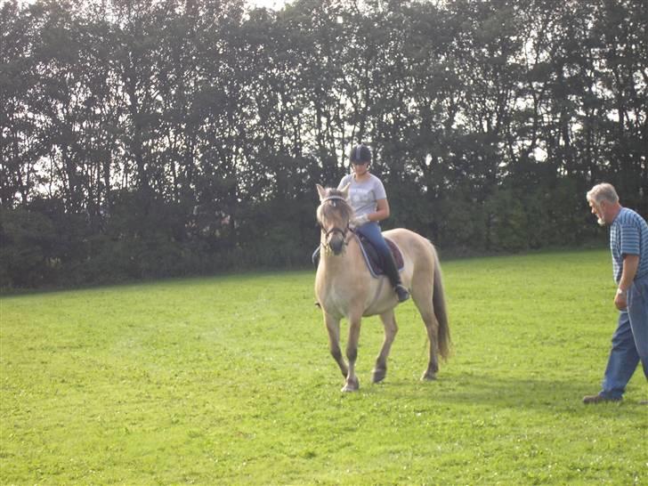 Min Familie og Vores Heste... billede 16