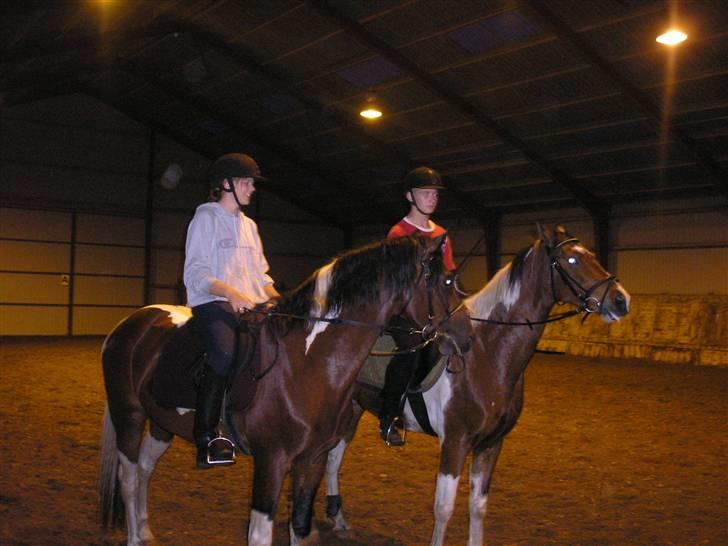 Min Familie og Vores Heste... - Mig og min bror ved at træne et pr af pinto hestene...
jeg rider Mørkbakkens Aslan og Lasse (i den røde tjøje) Twers en 5 års efter Aslan... billede 17