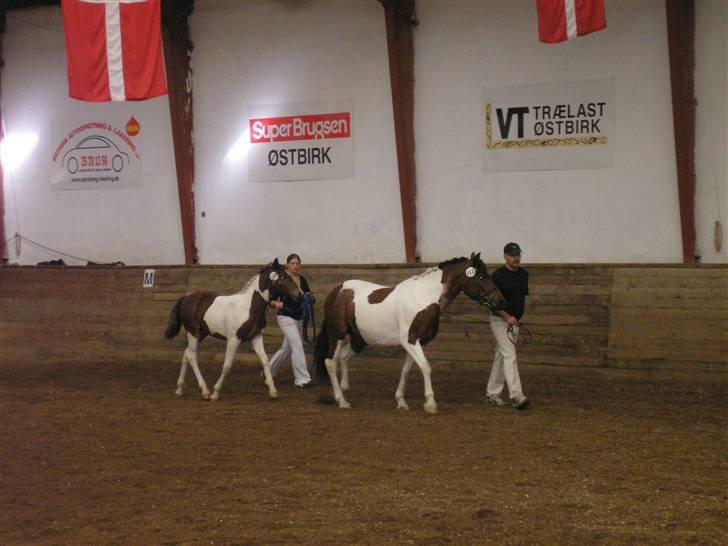 Min Familie og Vores Heste... - Her er min far og jeg tol Kåring med fars heste det er malou med føl Mr.X....(hingst) billede 18