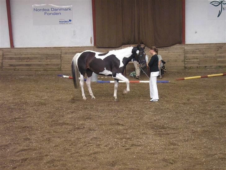 Min Familie og Vores Heste... billede 21
