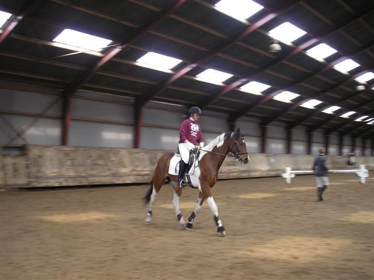 Min Familie og Vores Heste... - Jeg rider opvisning på Twers... billede 22