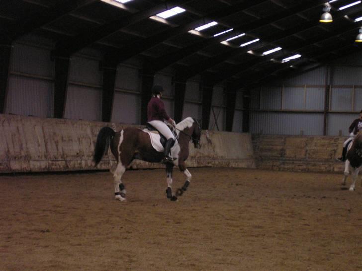 Min Familie og Vores Heste... billede 23