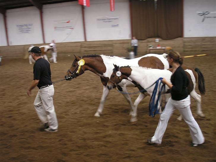 Min Familie og Vores Heste... - Min far og jeg... Med vores gulv klump... billede 24