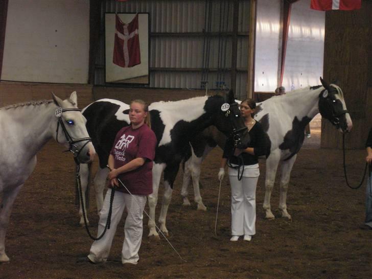 Min Familie og Vores Heste... - Det er mig med hest i mitten... billede 25