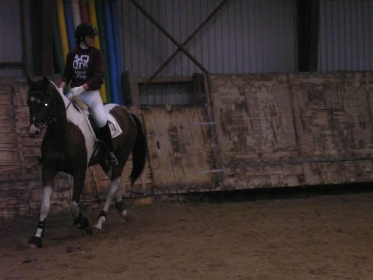 Min Familie og Vores Heste... billede 27